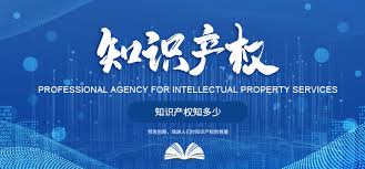 知识产权保护服务｜守护创新成果，全方位维护企业知识产权权益